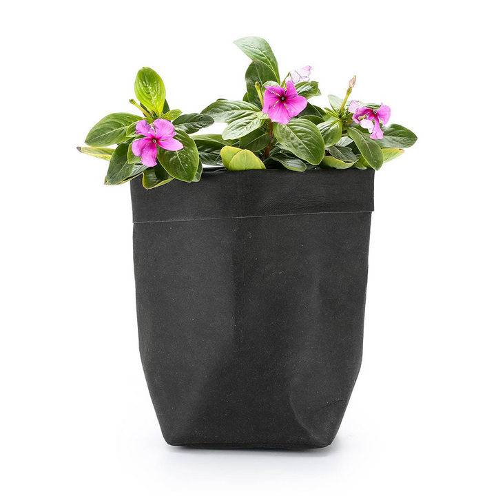 BowLift | Stylish plant pots made of paper for modern decoration