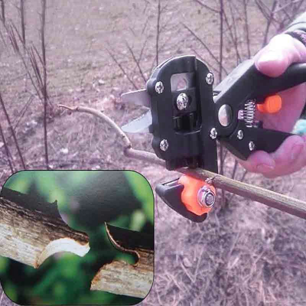 BowLift | Refinement scissors for garden – Precise cutting tools for grafting and refining plants