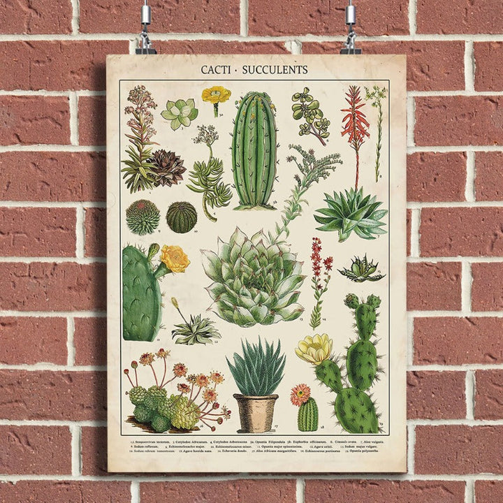 Cacti Plants - Canvas Wall Art Painting | Bowlift