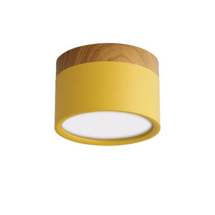 Morandi Style Modern LED Ceiling Lamp - LumiModo | Bowlift