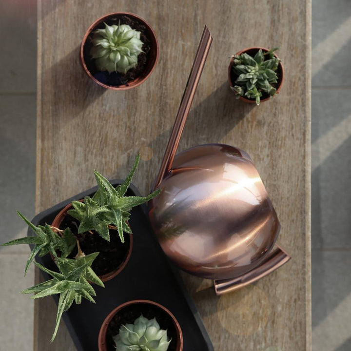 BowLift | Elegant Watering Can for Precise Watering
