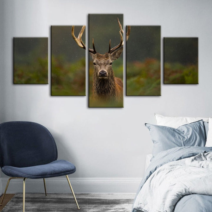 5 Piece Curios Deer Amongst Ferns - Canvas Wall Art Painting | Bowlift