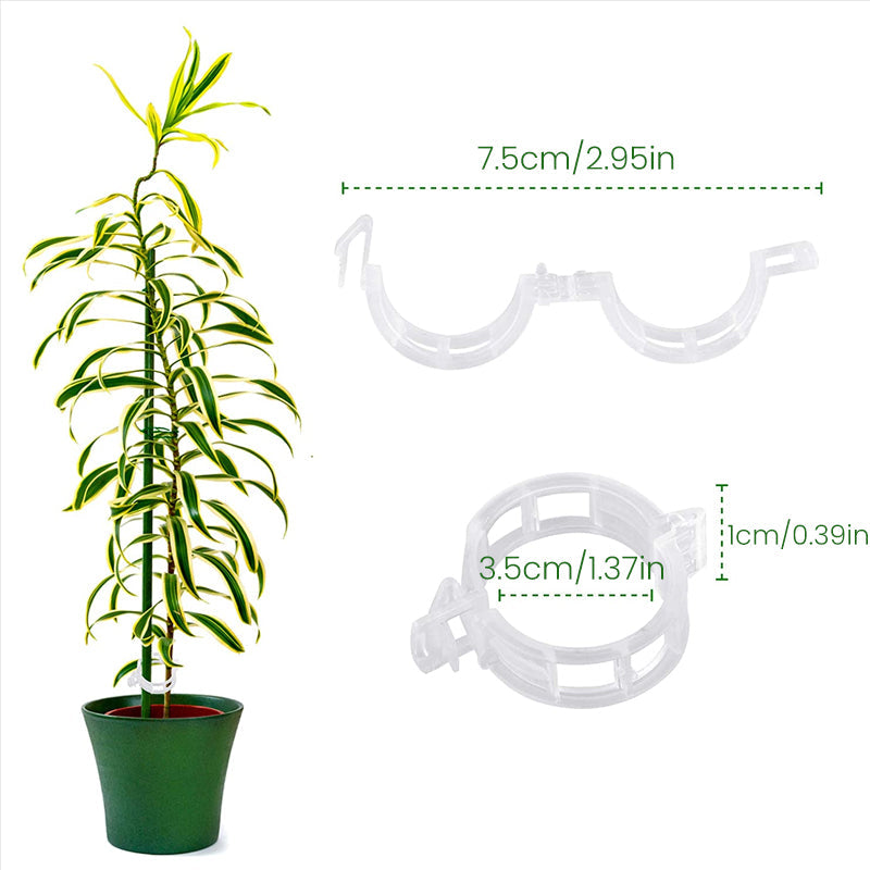 Plastic ring for holding plants | Bowlift