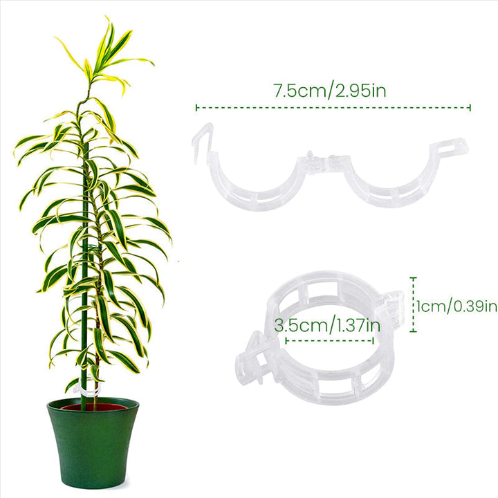 Plastic ring for holding plants | Bowlift