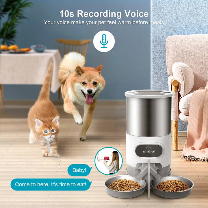 BowLift | 2-Way Splitter Automatic Smart Pet Feeding Station