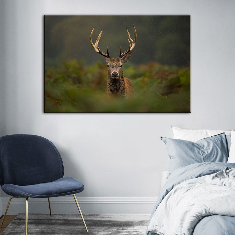 Curios Deer Amongst Ferns - Canvas Wall Art Painting | Bowlift