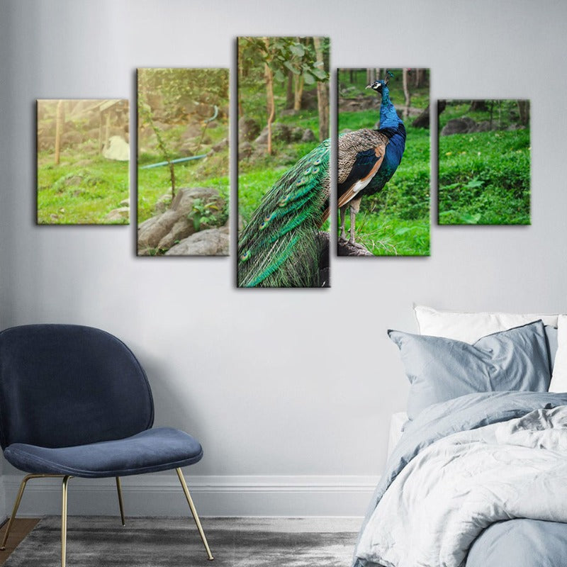 5 Piece Dignified Sunlit Peacock - Canvas Wall Art Painting | Bowlift