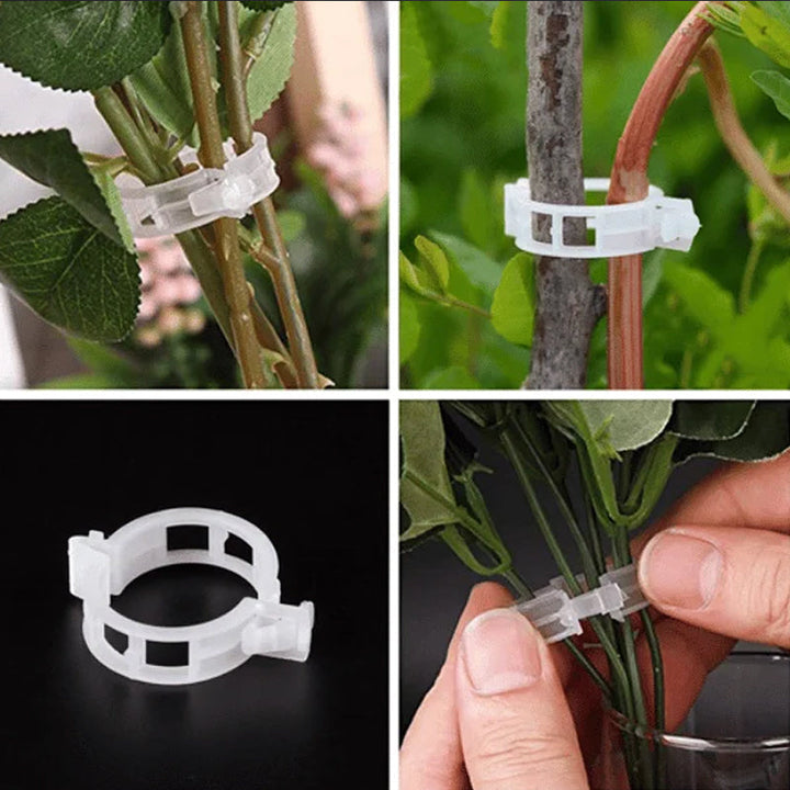 BowLift | Practical Plant Support Clip