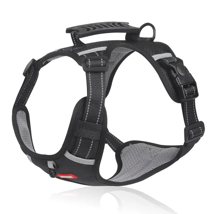 NoPull Dog Harness – WalkEase Bowlift