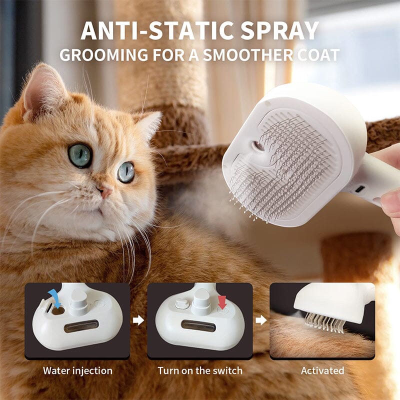 BowLift | Spray Cat Brush