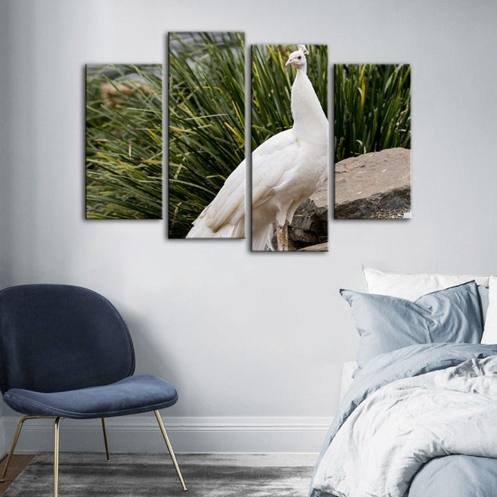 4 Piece Regal Albino Peacock - Canvas Wall Art Painting | Bowlift