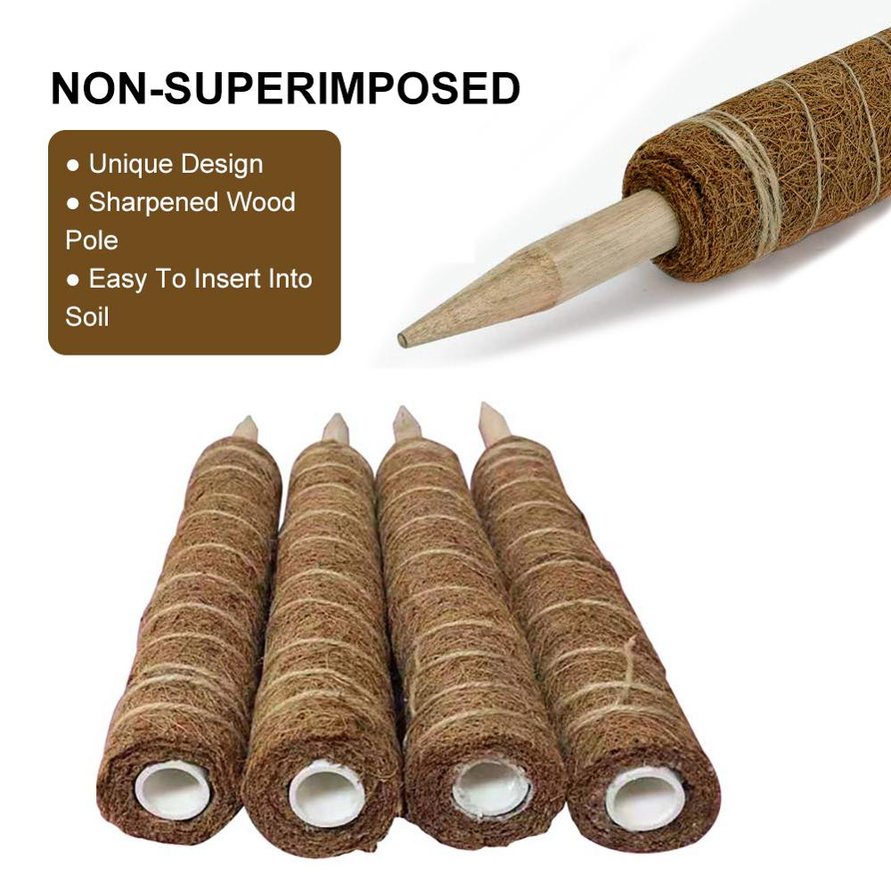 BowLift | Coconut moss stick for climbing plants – Natural climbing aid for houseplants and garden