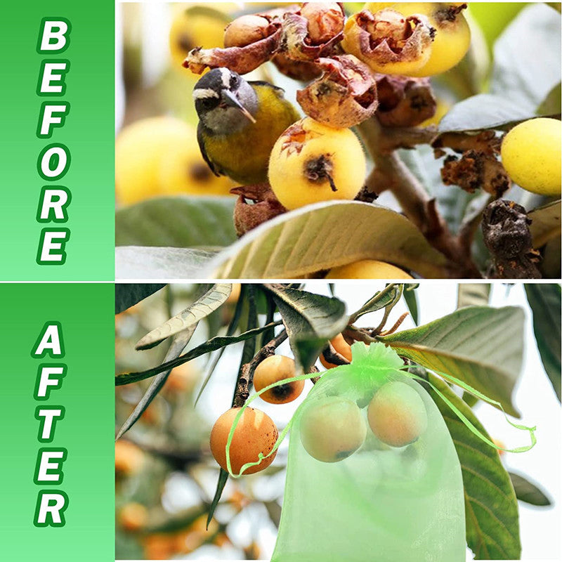 BowLift | Fruit Protection Bag (100 PCS)