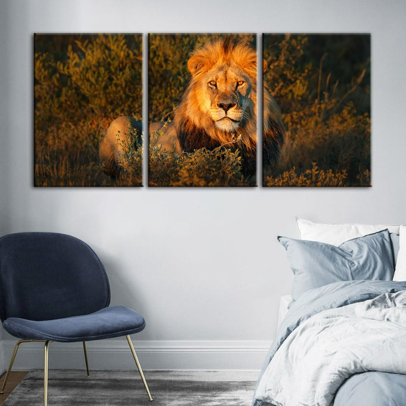 Divine Sunset Lion-Canvas Wall Art Painting 3 Pieces | Bowlift