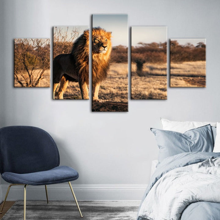 5 Piece Majestic Lion Bathed In Sunlight - Canvas Wall Art Paintings | Bowlift