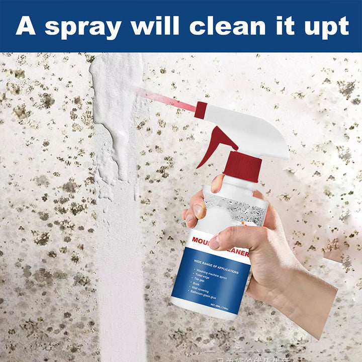 BowLift | Mold Cleaner Foam