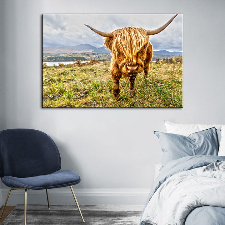 Cute Wild Cow - Canvas Wall Art Painting | Bowlift