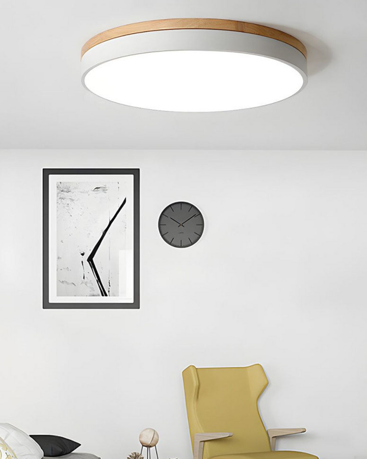BowLift | Modern Ceiling Lamp with Nature-Inspired Shape