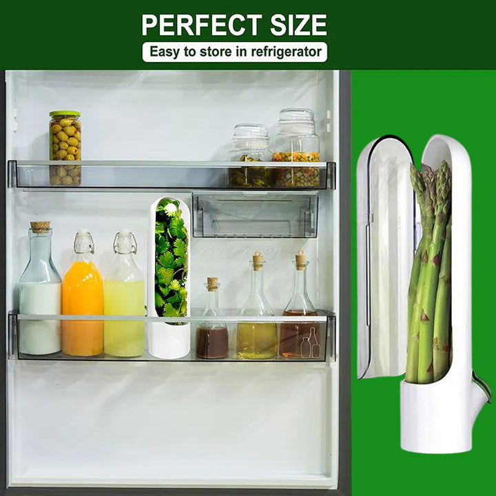 BowLift | Vegetable Preservation Bottle