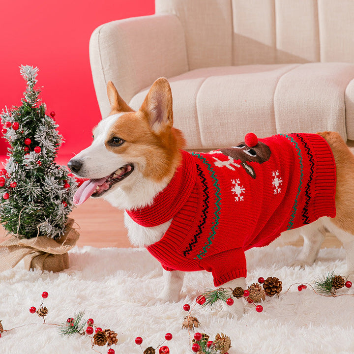 Warm Christmas clothing for pets | Bowlift