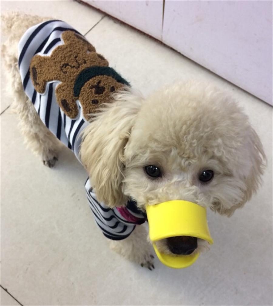 BowLift | Dog Muzzle - Cutest Adjustable Duck Mouth For Your Dog