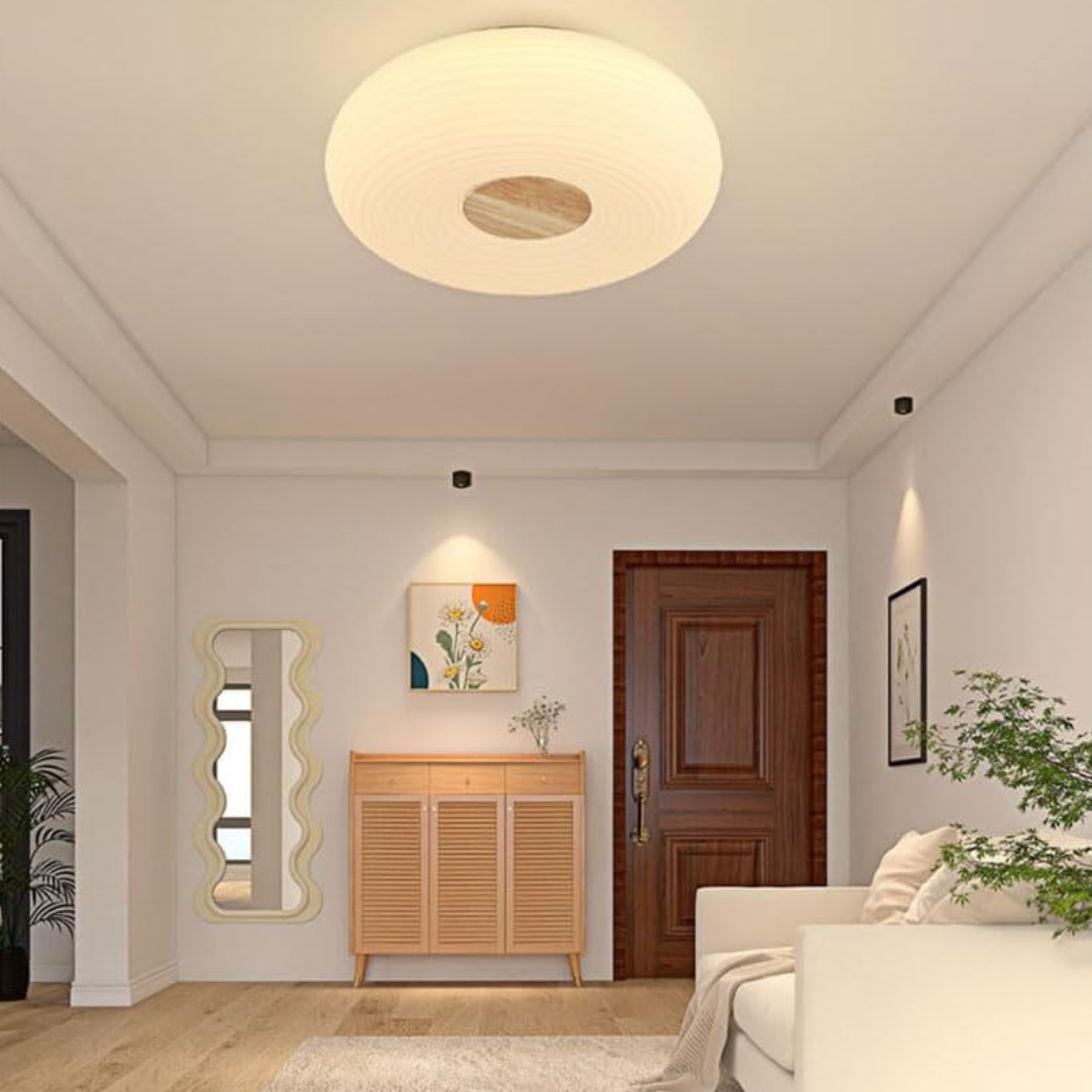 BowLift | Modern LED Ceiling Light