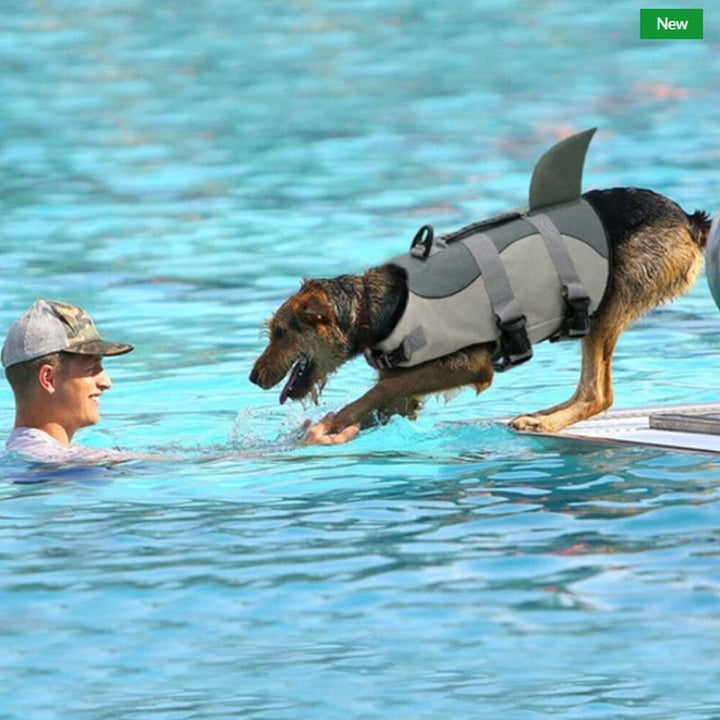 BowLift | Dog Swim Safety Jacket