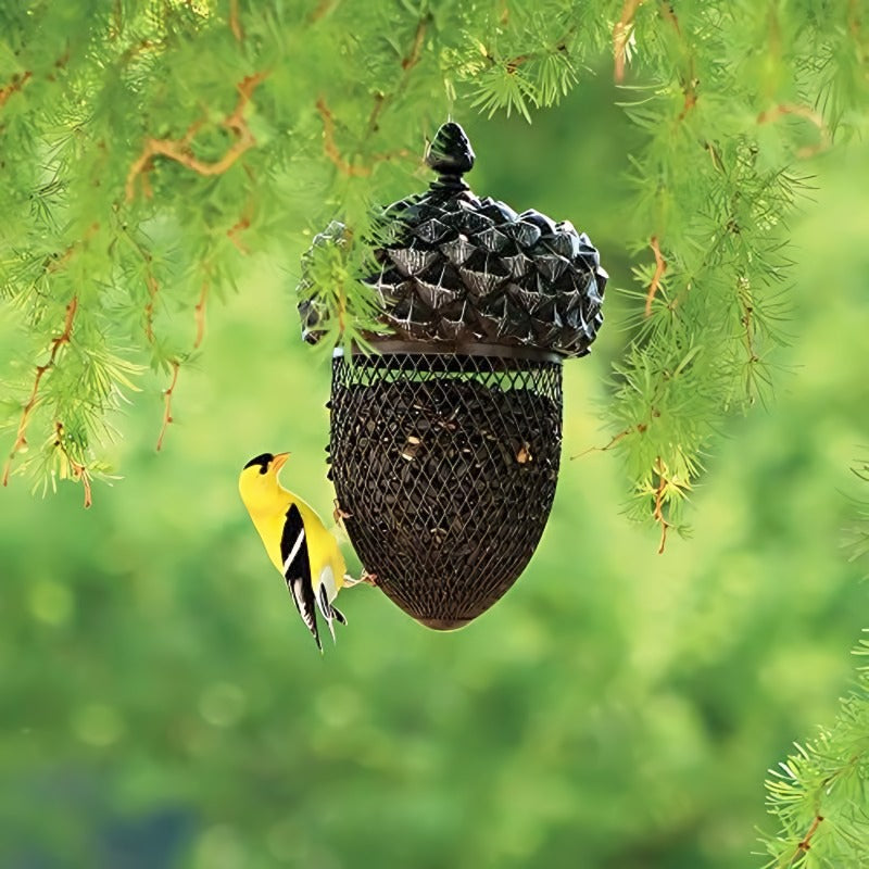 BowLift | Hummingbird Acorn Wrought Iron Bird Feeder