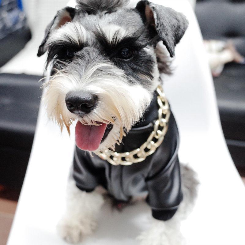 BowLift | Pet Jewelry Thick Gold Chain Collar