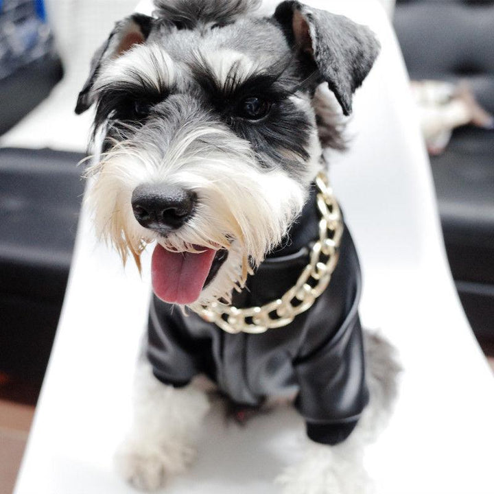 BowLift | Pet Jewelry Thick Gold Chain Collar