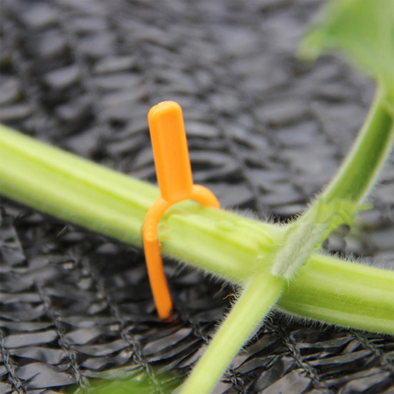 BowLift | Garden plants support clamps made of plastic for optimal plant stability