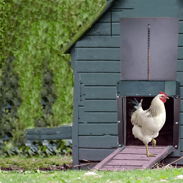 BowLift | Automatic Chicken Coop Door