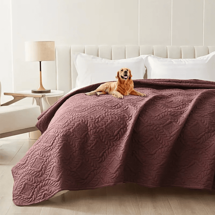 Versatile Moisture-Proof Dog Mat