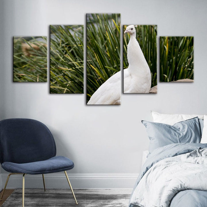5 Piece Regal Albino Peacock - Canvas Wall Art Painting | Bowlift