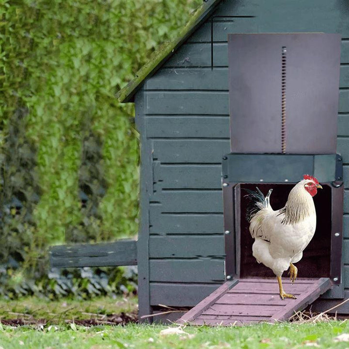 BowLift | Poultry Farm Automatic Chicken Coop Door