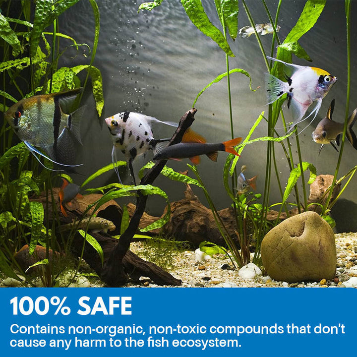 BowLift | Aquarium Cleaning Powder