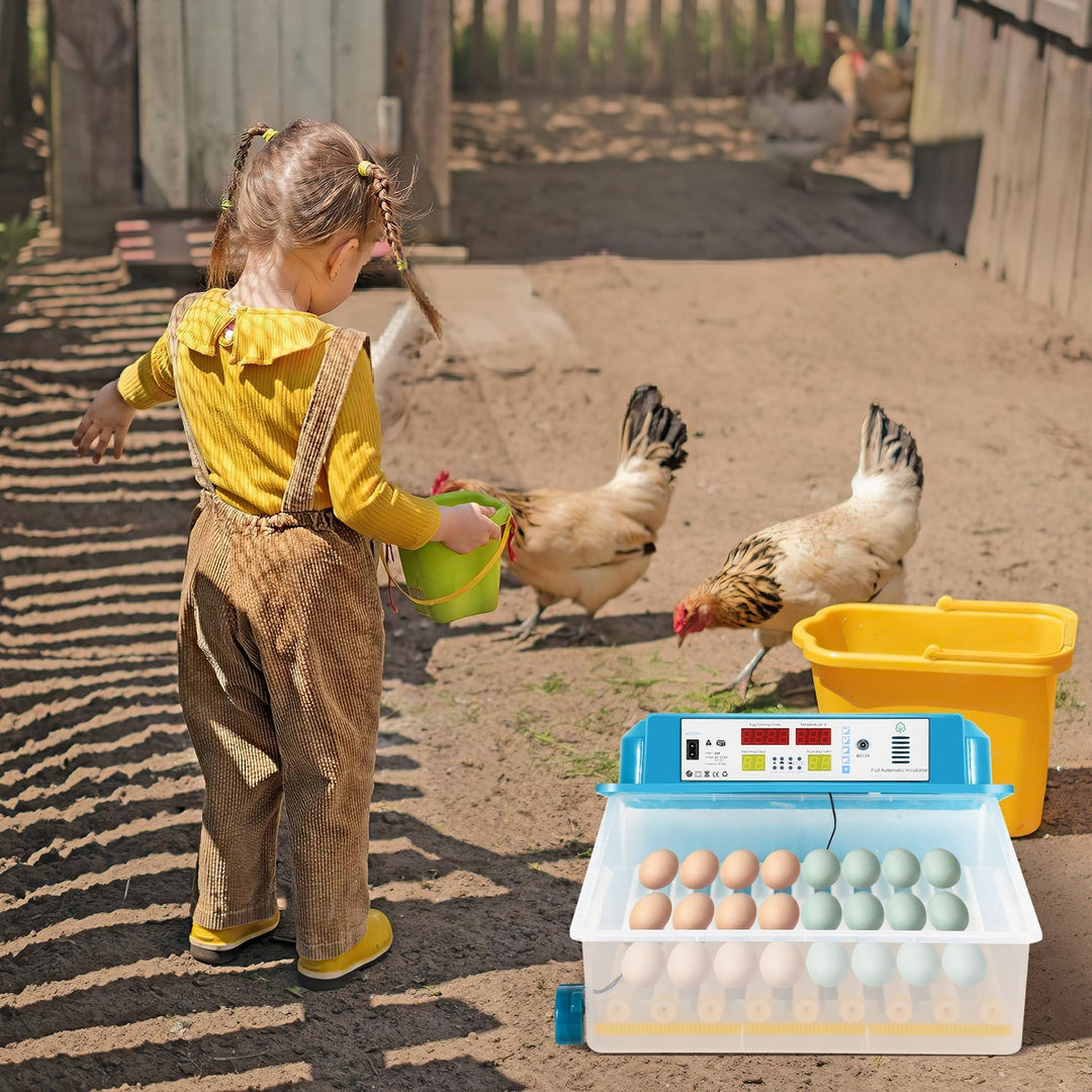 Brutautomat Fully Automatic Incubator for Chickens 64 Eggs | Bowlift