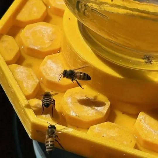 BowLift | BuzziNest — Protect your bees and make your garden a blooming dream of life!