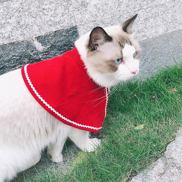 BowLift | FestivaPaws – Warm festive pet outfits that attract attention