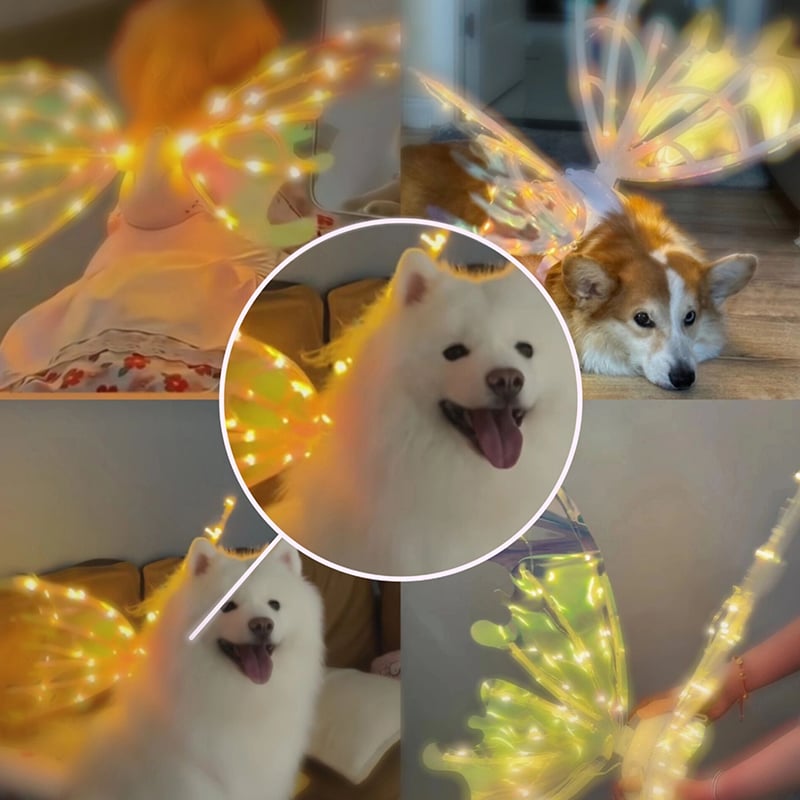 BowLift | FairyGlow Enchanting Glowing Wings