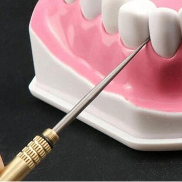 BowLift | Dental Cleaning Floss Toothpicks Keychain