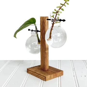BowLift | Wooden Frame Hydroponic Plant Vase