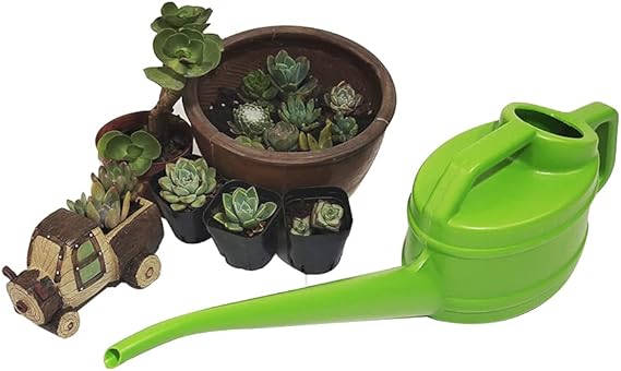 BowLift | Watering can with long spout for precise and easy watering