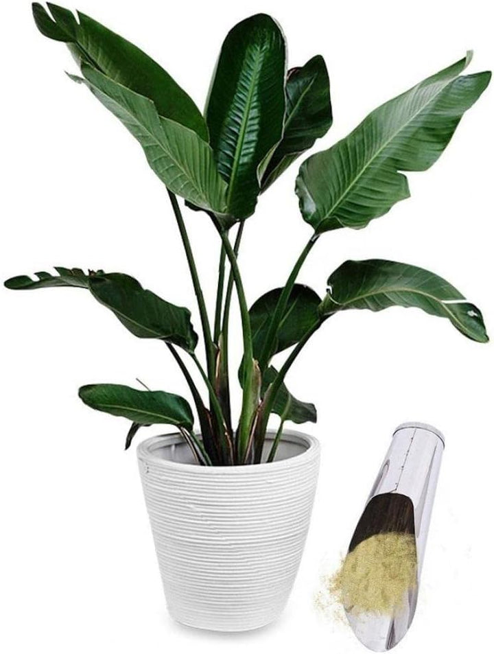 BowLift | Stainless Steel Scoop for Potting Soil – Robust Planting Scoop for Garden and Balcony