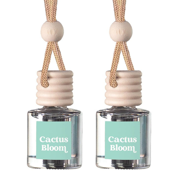 BowLift | Car Air Freshener Diffuser