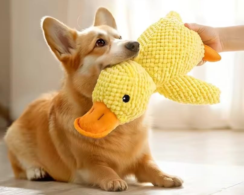 BowLift | Dog Toy Plush Duck Mental Stimulation