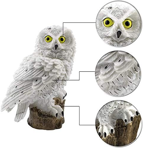 BowLift | SolarGlow Garden Lamp | Eco-friendly solar lamp for a vibrant outdoor ambiance
