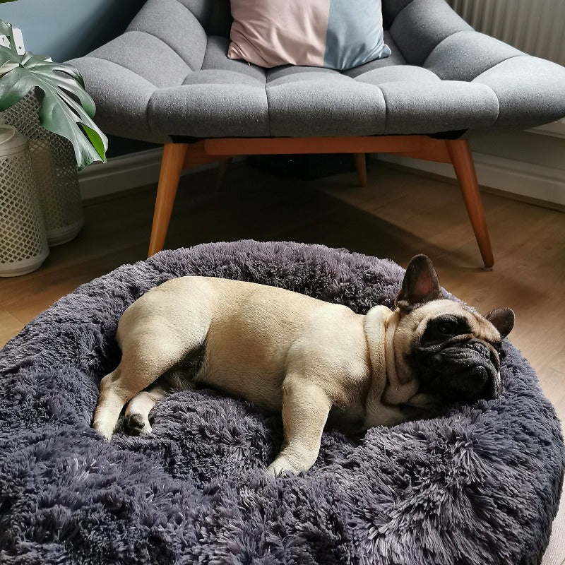 BowLift | Beef Plush Calming Donut Dog Bed for Small to Large Dogs