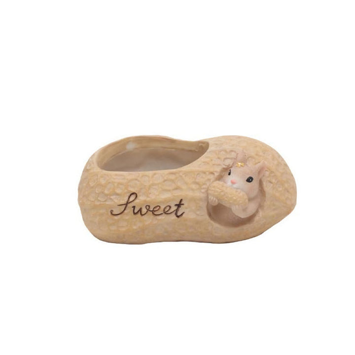 BowLift | Cartoon Squirrel Succulent Flower Pot