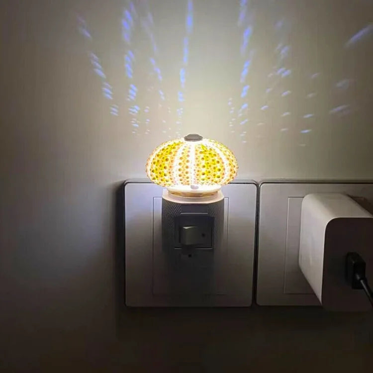 BowLift | LumiCraft – Unique DIY table lamp with natural sea shell for a cozy décor